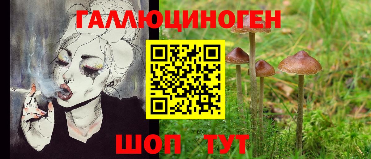 Строитель  Галлюциногенные грибы Magic Shrooms  Вход с VPN  Галлюциногенные грибы Psilocybine cubensis 